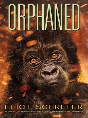 cover image of Orphaned